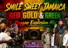 Smile Sweet Jamaica Reggae Explosion Mix Feat Chronixx,Queen Ifrica,Sizzla,Protoje,Morgan Heritage&+